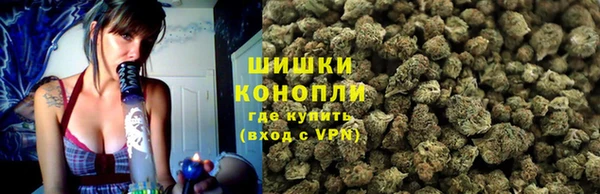 apvp Алзамай