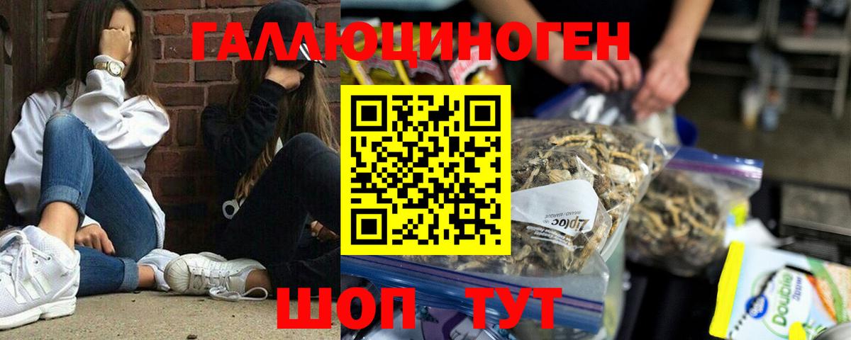 Псилоцибиновые грибы Magic Shrooms Павловский Посад